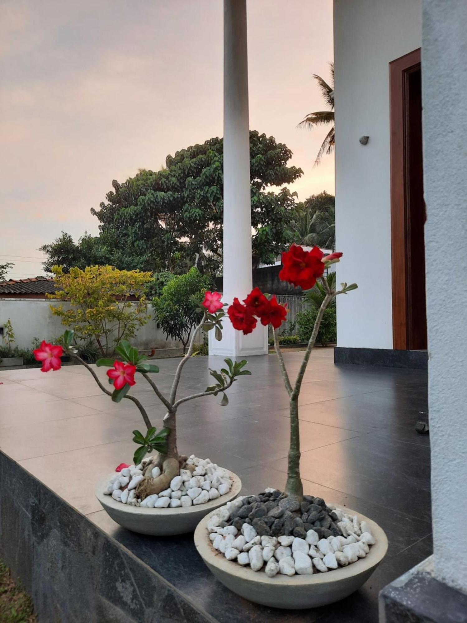Ferienwohnung "The Anchorage" Of Field View Pannipitiya Exterior foto
